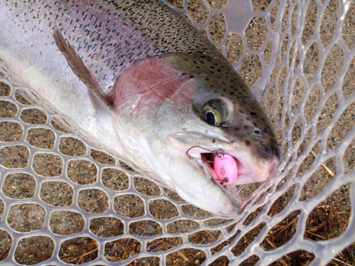20120123 009.jpg