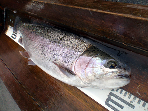 20120123 013.jpg