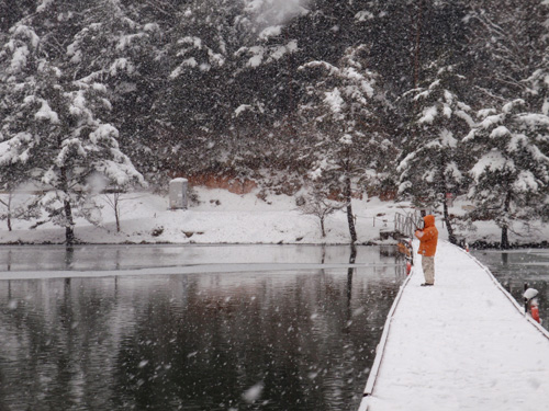 20120204 001.jpg