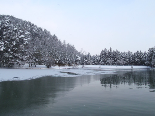 20120204 003.jpg