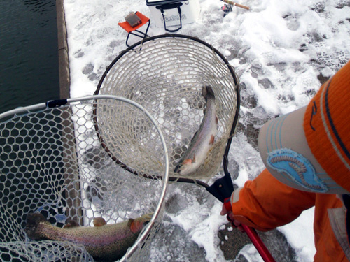 20120204 007.jpg