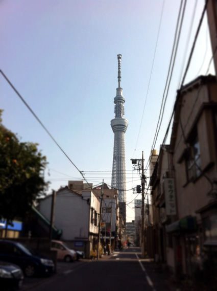 20120210 046.jpg