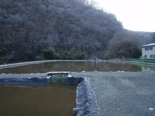 20120314 011.jpg