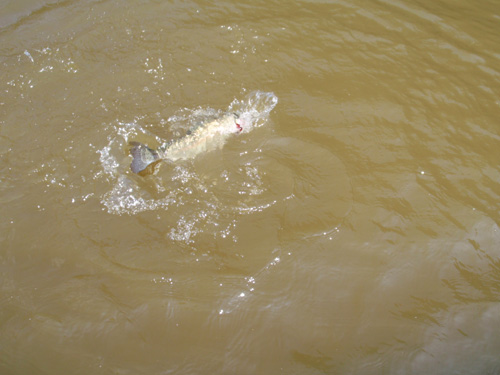 20120314 014.jpg