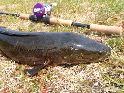 20120405.08 008.jpg