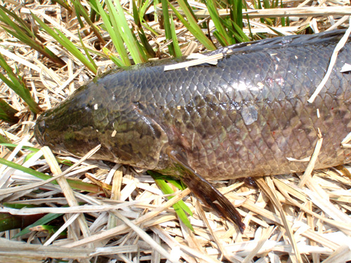 20120405.08 013.jpg