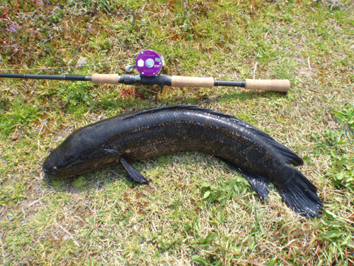 20120405.08 016.jpg