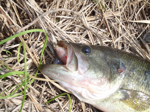 20120412 003.jpg