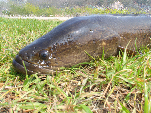 20120412 007.jpg