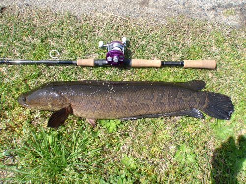 20120412 012.jpg