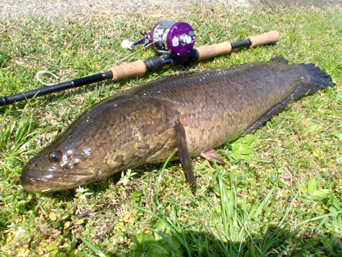 20120412 013.jpg
