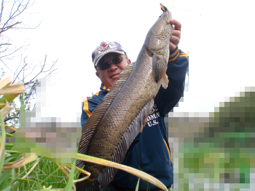 20120414 002.jpg