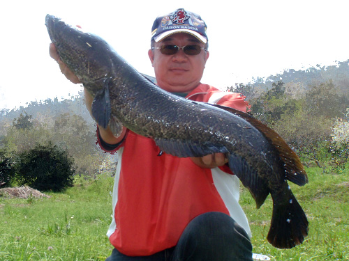 20120417 ÀéÄÍ820.jpg