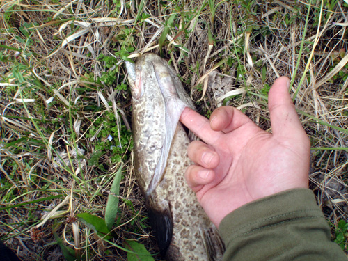 20120421 002.jpg