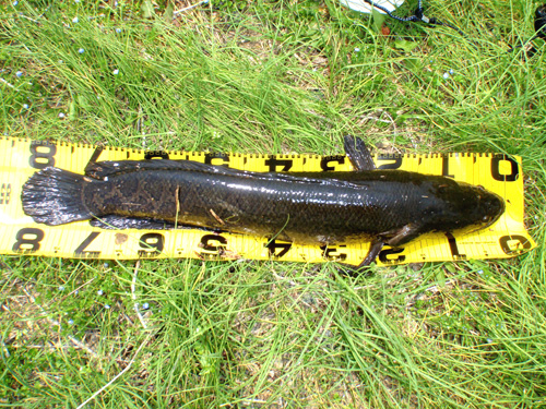 20120417 ÀéÄÍ8200.jpg