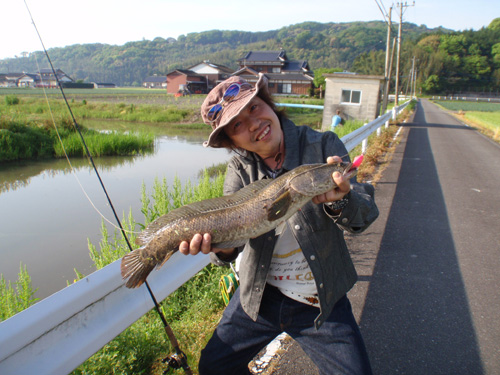 20120429 004.jpg