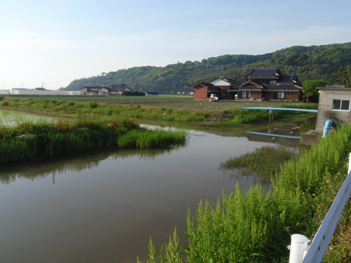 20120429 005.jpg