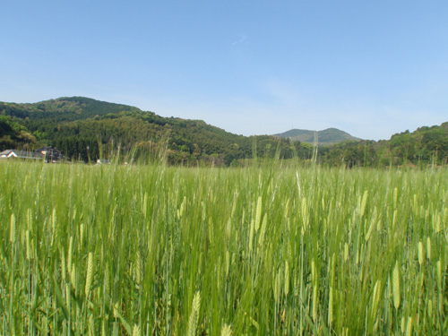 20120429 009.jpg