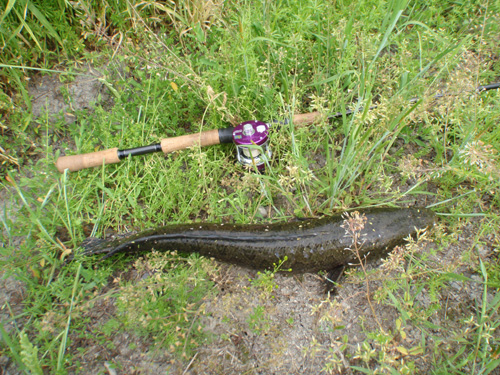 20120429 011.jpg