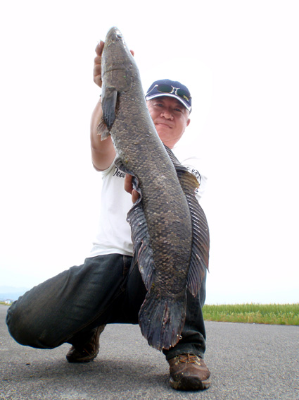 20120429 018.jpg.jpg