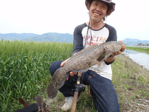 20120429 019.jpg