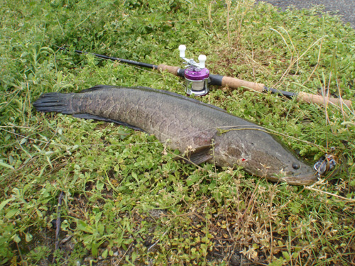 20120429 021.jpg
