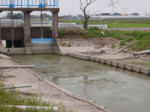 20120429 024.jpg