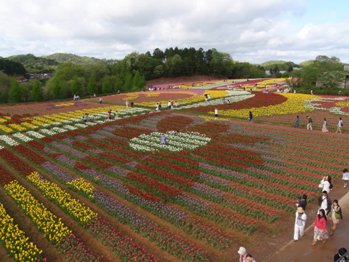 20120504 024.jpg
