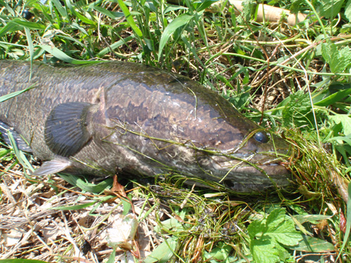 20120505 002.jpg