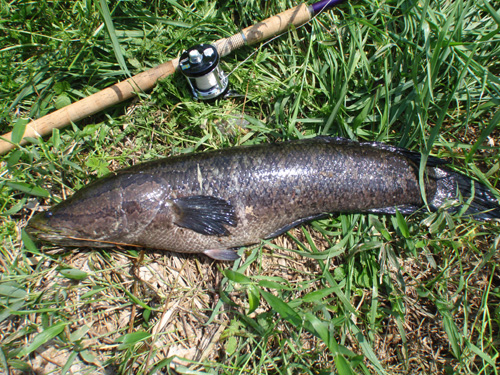 20120505 005.jpg