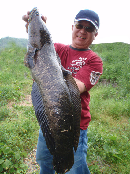 20120507 002.jpg