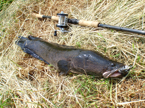 20120509 002.jpg