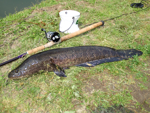20120509 004.jpg