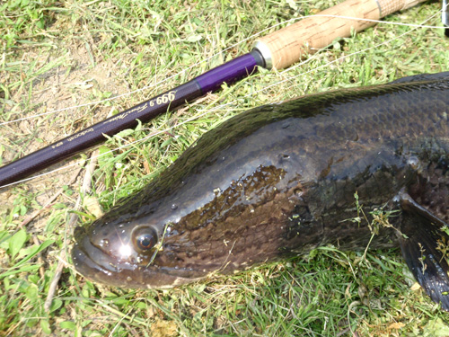 20120509 005.jpg