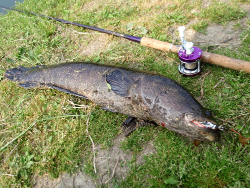 20120509 009.jpg