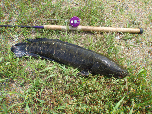 20120513 002.jpg