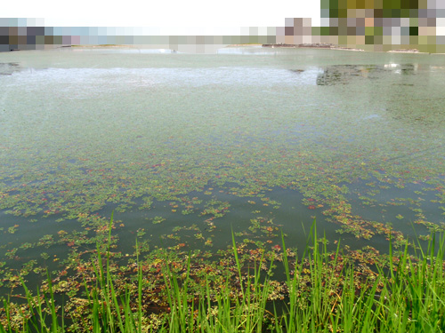 20120520 002.jpg