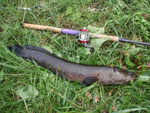 20120520 008.jpg