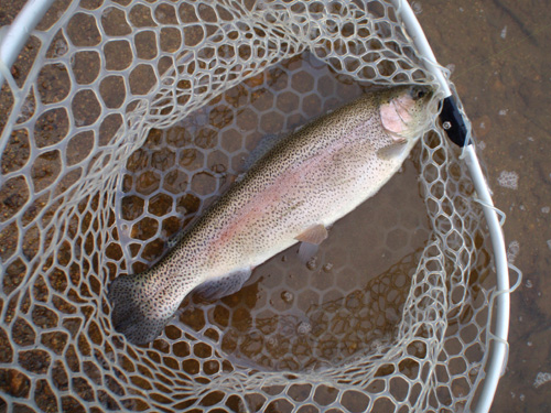 20120526 001.jpg