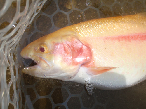 20120526 014.jpg