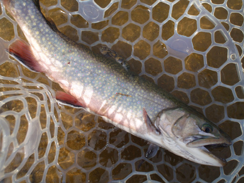 20120526 020.jpg