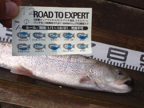 20120526 024.jpg