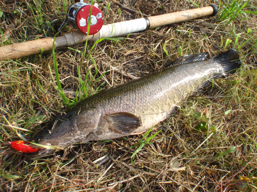 20120601 004.jpg