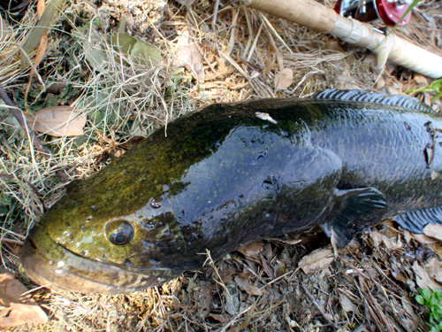 20120601 011.jpg