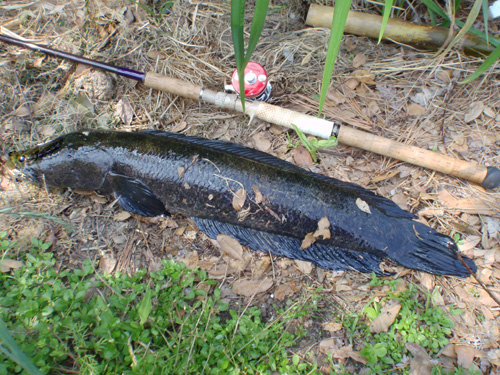 20120601 012.jpg