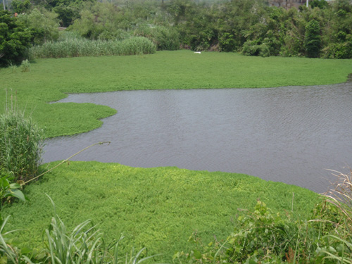 20120607 011.jpg