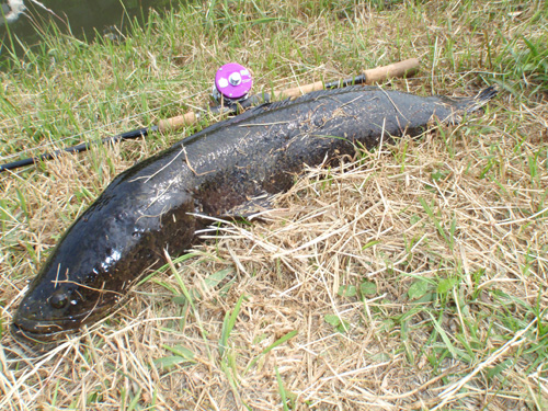 20120607 013.jpg