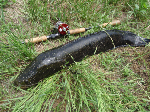 20120613 005.jpg