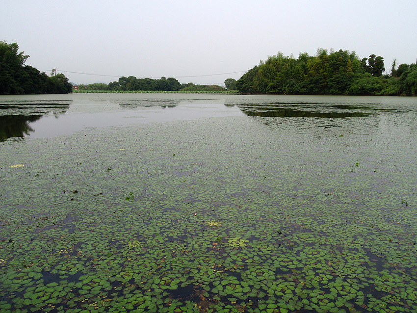 P7261447.JPG