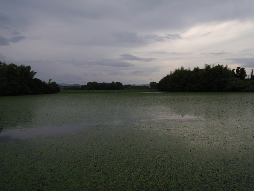 P8131550.JPG